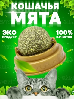 Отзыв на Игрушка для кошек и котов , кошачья мята , шарик, леденец, лакомство для кошки, товар для животных.